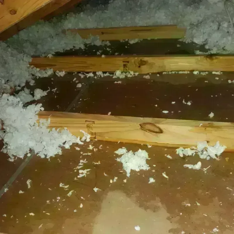 Attic Water Damage in Silver Lake, NC