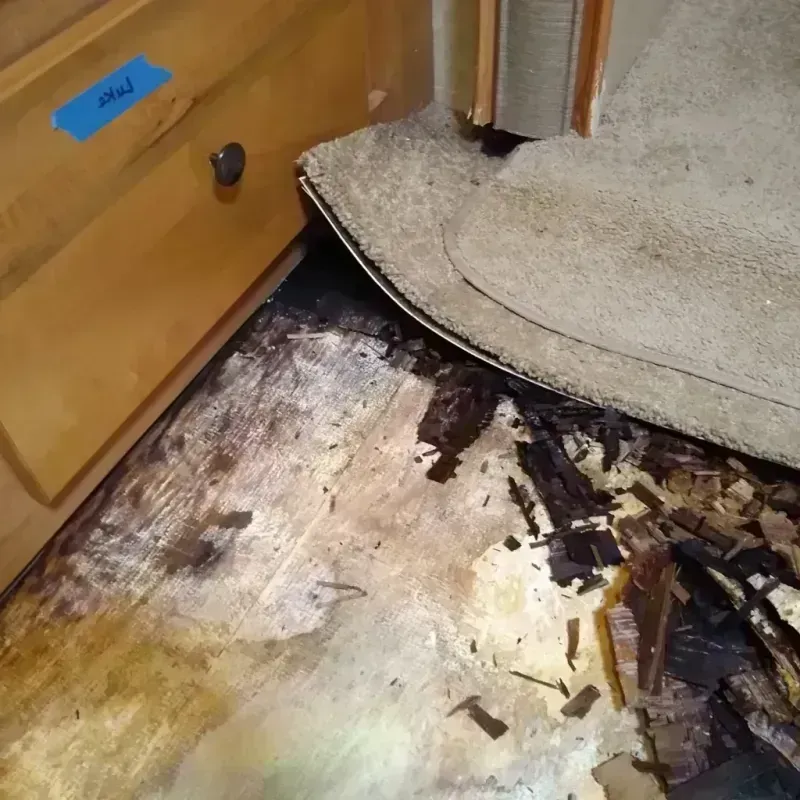 Wood Floor Water Damage in Silver Lake, NC